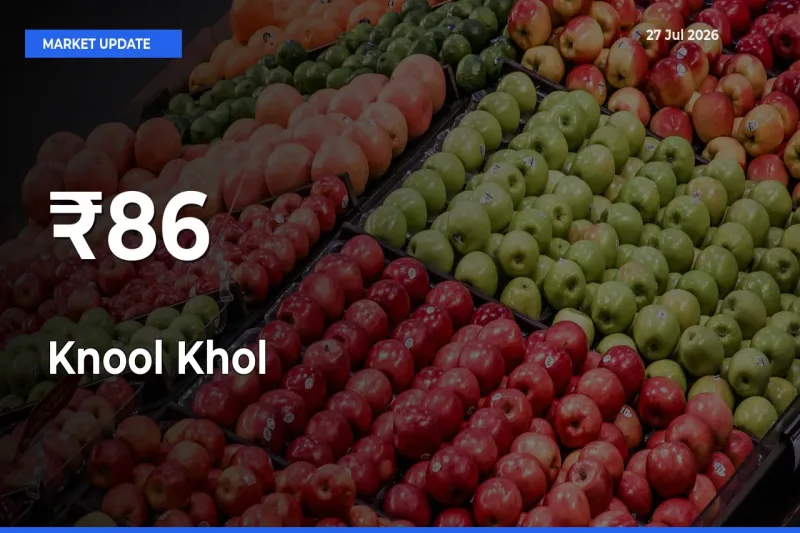 Why Knool Khol Prices Are Moving Across Multiple Mandis Today