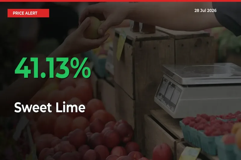 This Mandi Records 41.13% Jump in Sweet Lime Prices