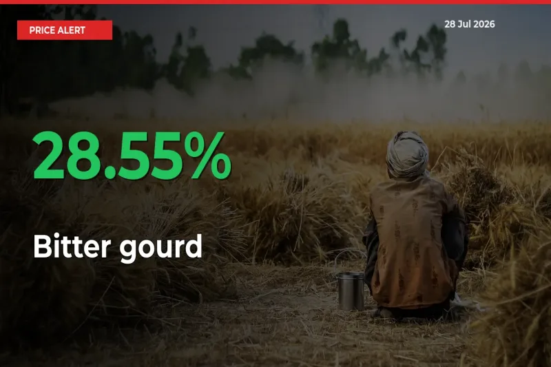 Bitter gourd Mandi Rate Today: Prices Jump 28.55% at Market