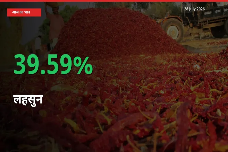 स्थानीय मंडी में लहसुन के दाम अचानक 39.59% उछले, किसान सतर्क