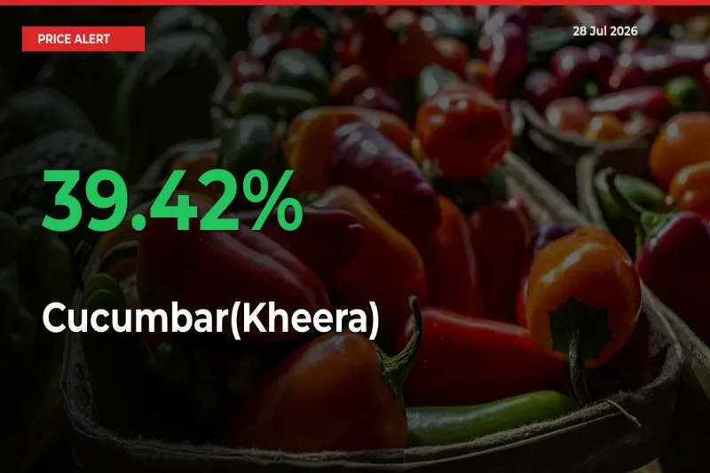 This Mandi Records 39.42% Jump in Cucumbar(Kheera) Prices