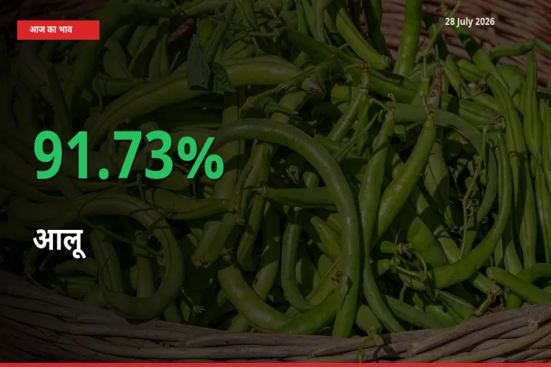 आलू के दाम प्रमुख मंडी में 91.73% बढ़े, 24 घंटे में बड़ा बदलाव