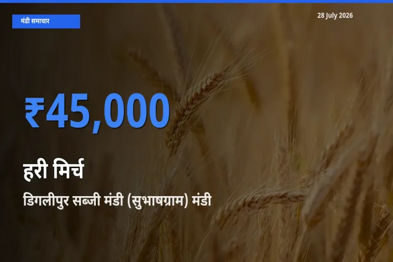 आज हरी मिर्च के सबसे ऊँचे दाम ₹45,000 डिगलीपुर सब्जी मंडी (सुभाषग्राम), उत्तर और मध्य अंडमान, अंडमान और निकोबार मंडी में