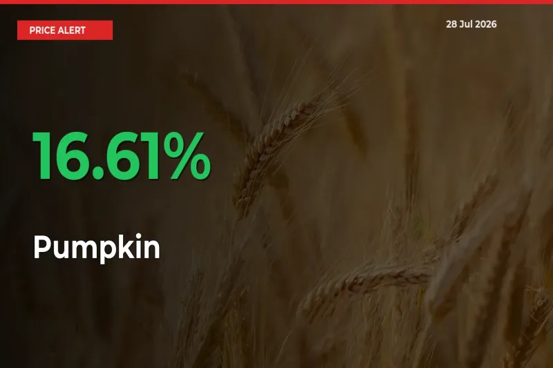 Pumpkin Prices Rise 16.61% in a Day at Major Mandis