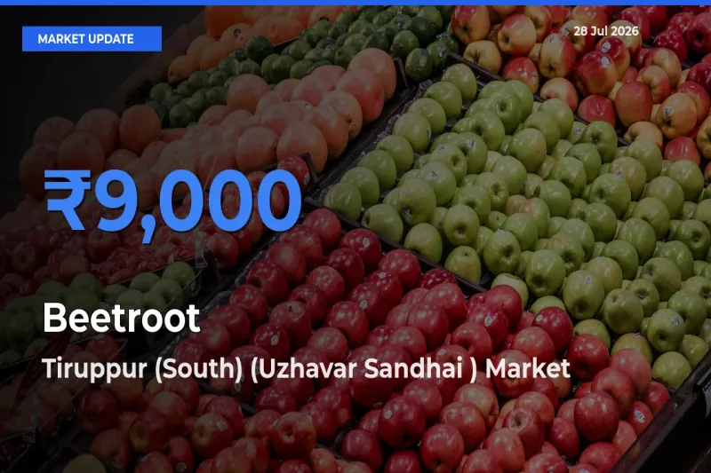 Tiruppur (South) (Uzhavar Sandhai ), Thirupur, Tamil Nadu Tops Beetroot Mandi Rates Today