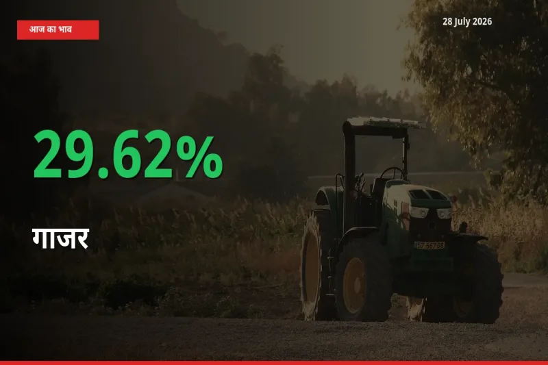 स्थानीय मंडी में गाजर के दाम अचानक 29.62% उछले, किसान सतर्क