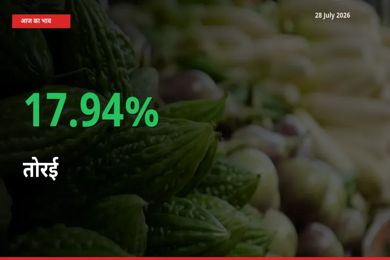 28 July अपडेट: तोरई के दाम मंडी में 17.94% उछले