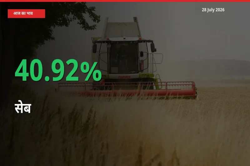 तेज़ तेजी! मंडी में सेब के दाम 40.92% चढ़े