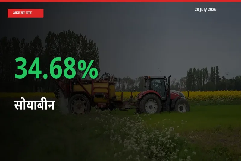 आज का मंडी भाव: सोयाबीन के दाम मंडी में 34.68% ऊपर