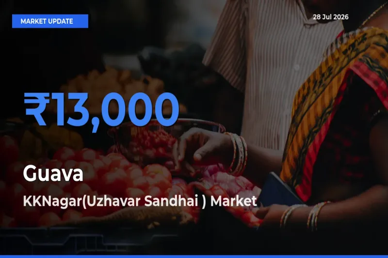 Market Watch: KKNagar(Uzhavar Sandhai ), Thiruchirappalli, Tamil Nadu Becomes Top Mandi for Guava