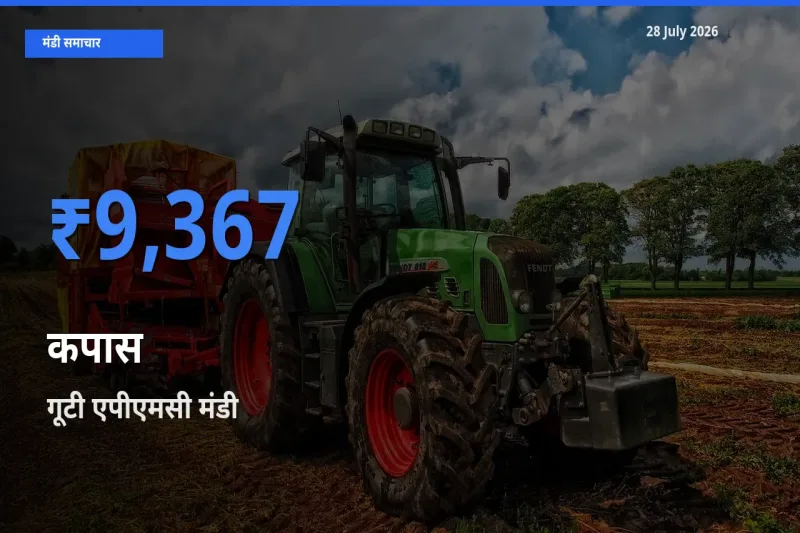 किसानों की पसंद बना गूटी एपीएमसी, अनंतपुरमु, आंध्र प्रदेश, कपास के सबसे अच्छे दाम