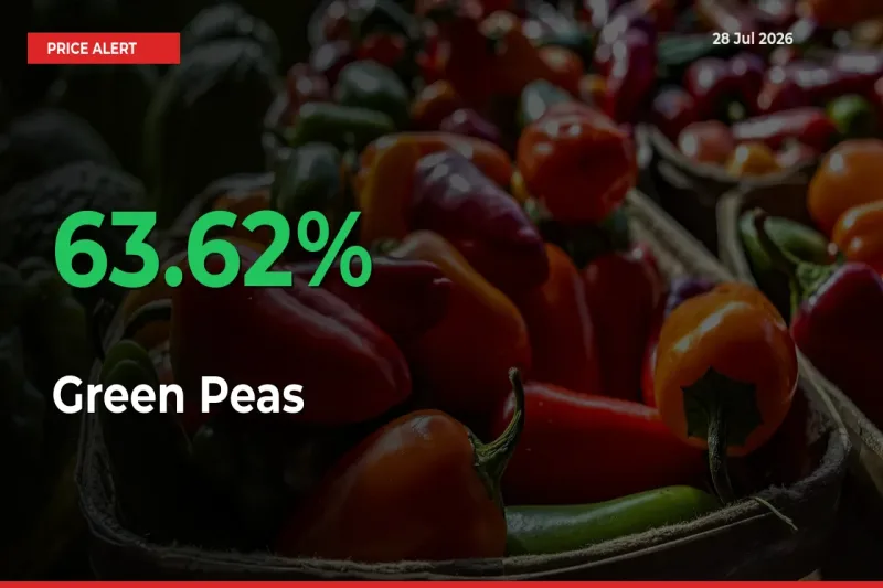 This Mandi Records 63.62% Jump in Green Peas Prices