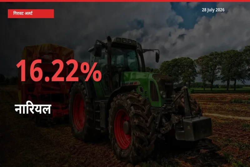 28 July अपडेट: नारियल के दाम मंडी में 16.22% गिरे