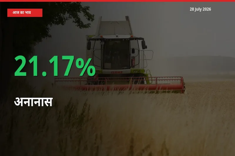 अनानास 21.17% उछला, मंडी