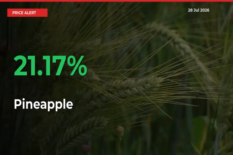 Sudden 21.17% Rally in Pineapple Prices Across Mandis