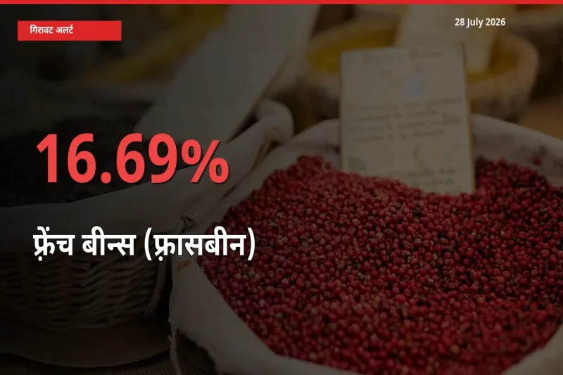 फ़्रेंच बीन्स (फ़्रासबीन) के दाम प्रमुख मंडी में 16.69% गिरे, 24 घंटे में बड़ा बदलाव