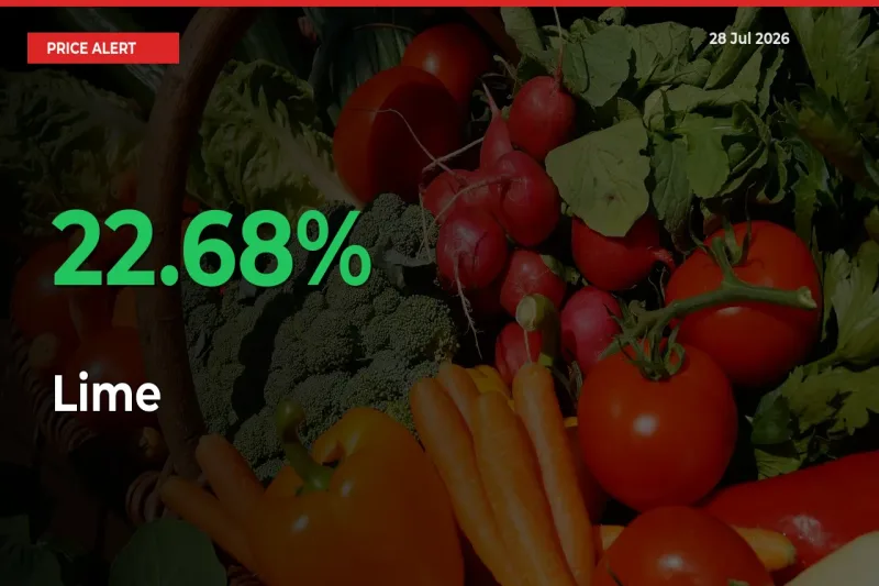 This Mandi Records 22.68% Jump in Lime Prices