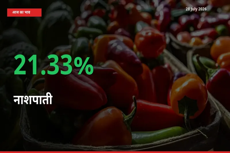 अचानक तेजी! मंडी में नाशपाती के दाम 21.33% चढ़े