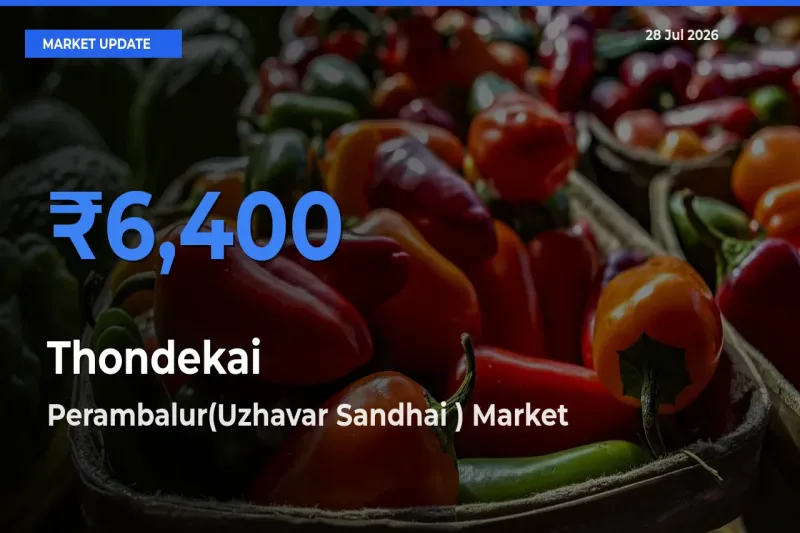 Market Watch: Perambalur(Uzhavar Sandhai ), Tamil Nadu Becomes Top Mandi for Thondekai