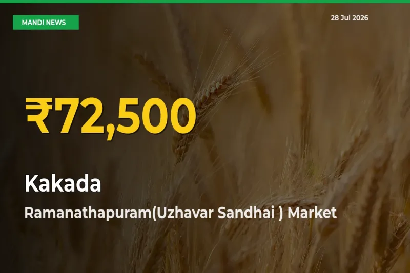Big Jump in Kakada Prices! Ramanathapuram(Uzhavar Sandhai ), Tamil Nadu Records New Peak Today