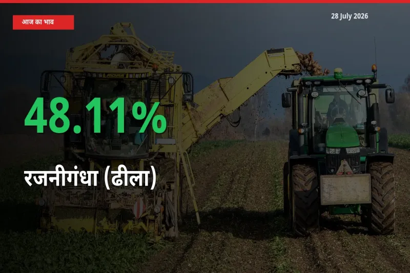 अचानक तेजी! मंडी में रजनीगंधा (ढीला) के दाम 48.11% चढ़े