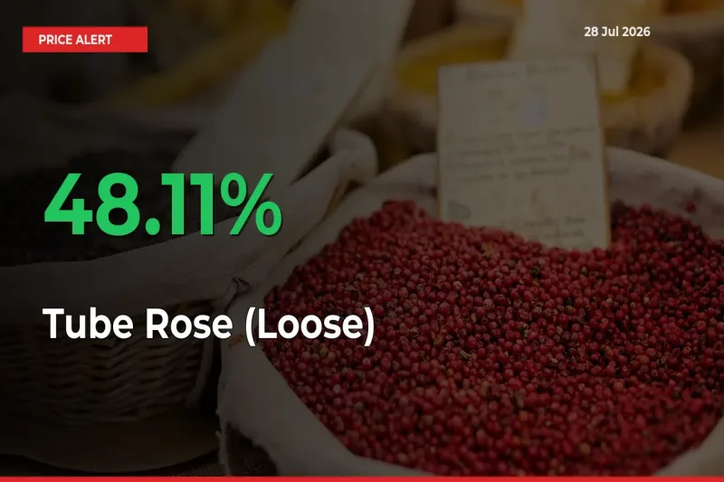 Tube Rose (Loose) Rises 48.11% at Mandis