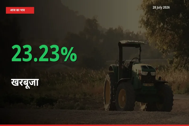 स्थानीय मंडी में खरबूजा के दाम अचानक 23.23% उछले, किसान सतर्क