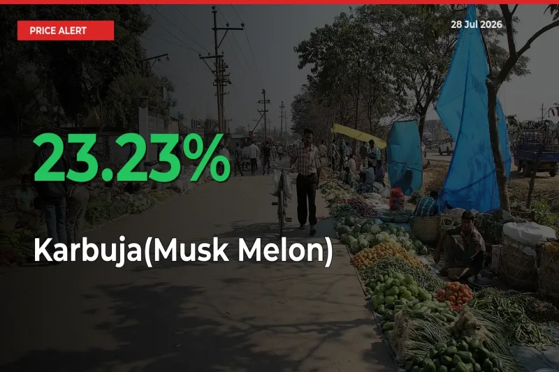 Karbuja(Musk Melon) Prices Rise 23.23% in a Day at Major Mandis