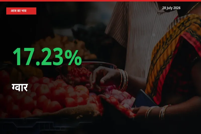 किसानों के लिए खुशखबरी! स्थानीय मंडी में ग्वार 17.23% उछला