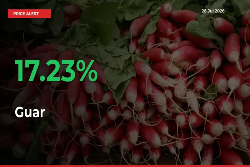 17.23% Spike in Guar Prices – Mandi Sees Sudden Rally