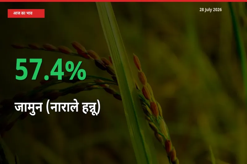 किसानों के लिए खुशखबरी! स्थानीय मंडी में जामुन (नाराले हन्नू) 57.4% उछला
