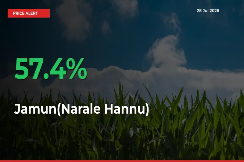 Sudden 57.4% Rally in Jamun(Narale Hannu) Prices Across Mandis