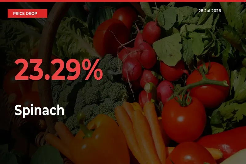 Sudden Shock! Spinach Drops 23.29% in 24 Hours at Top Mandis