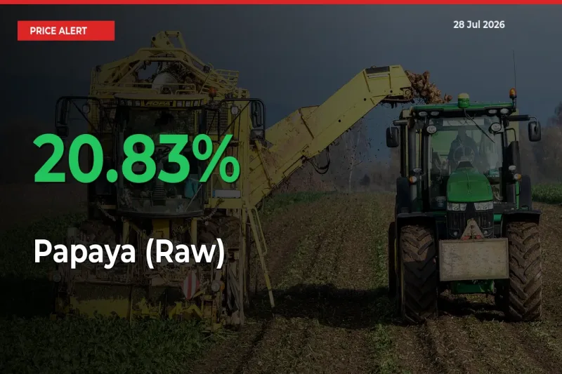 Sudden 20.83% Rally in Papaya (Raw) Prices Across Mandis