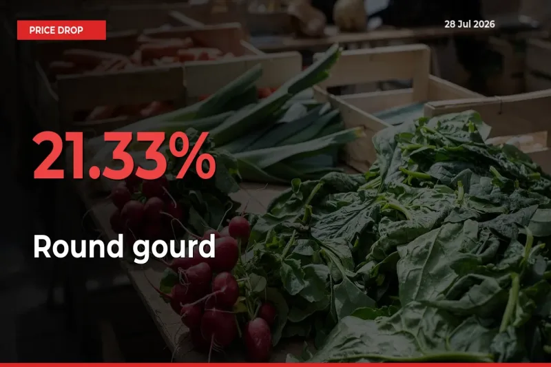 Why Round gourd Prices Fell 21.33% in a Day at Mandis