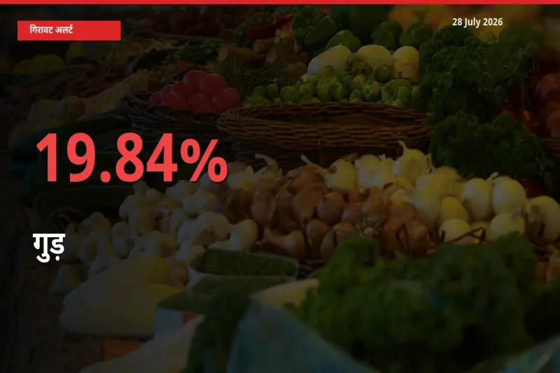 19.84% की गिरावट! मंडी में गुड़ के दाम अचानक टूटे