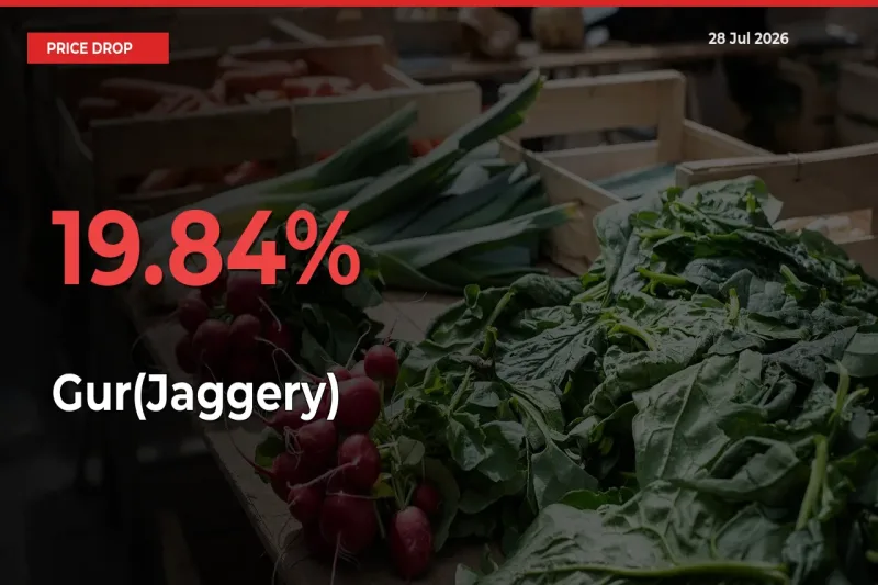 19.84% Drop in Gur(Jaggery) Prices – Mandi Sees Sudden Fall