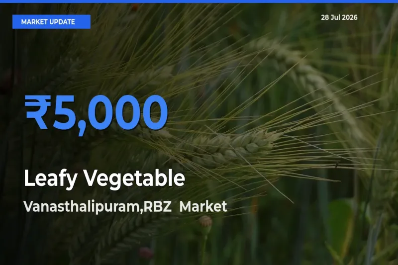 Vanasthalipuram,RBZ, Ranga Reddy, Telangana Records Highest ₹5,000 Rate for Leafy Vegetable
