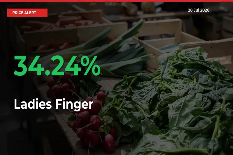 Sudden 34.24% Rally in Ladies Finger Prices Across Mandis