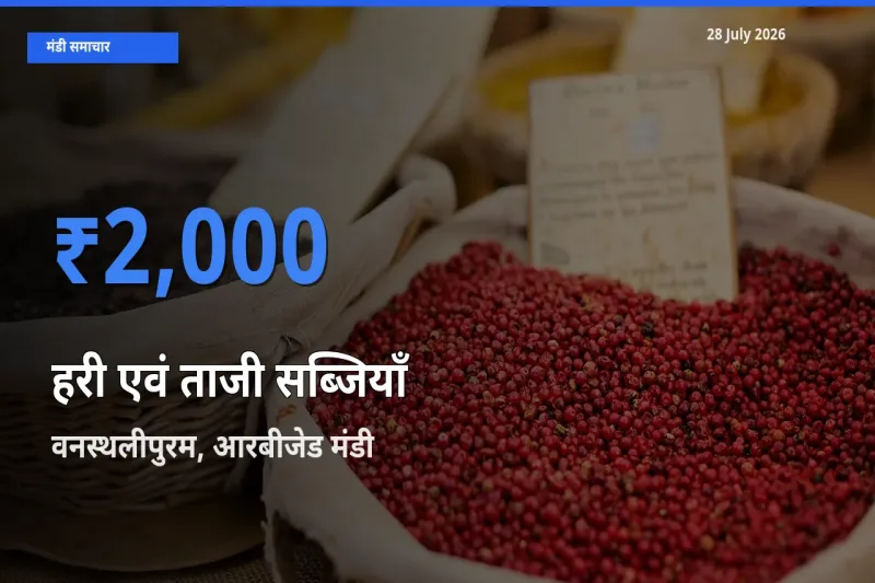 आज हरी एवं ताजी सब्जियाँ के सबसे ऊँचे दाम ₹2,000 वनस्थलीपुरम, आरबीजेड, रंगा रेड्डी, तेलंगाना मंडी में