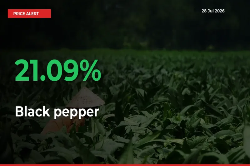 Sudden 21.09% Rally in Black pepper Prices Across Mandis