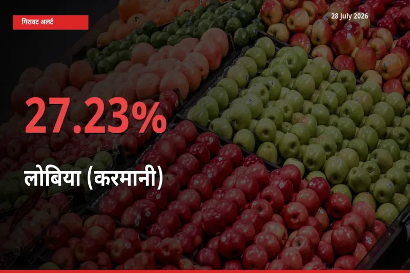 अचानक झटका! मंडी में लोबिया (करमानी) के दाम 27.23% टूटे