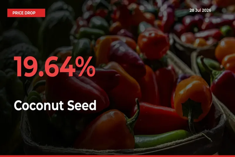 Coconut Seed Prices Drop 19.64% – July 28 Market Update from Mandis