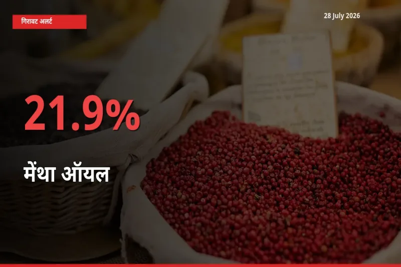 बाज़ार संकेत: मेंथा ऑयल के भाव मंडी में 21.9% नीचे