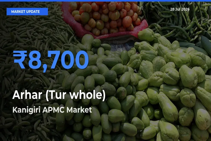 Kanigiri APMC, Markapuram, Andhra Pradesh Emerges as Top Mandi for Arhar (Tur whole) Prices Today