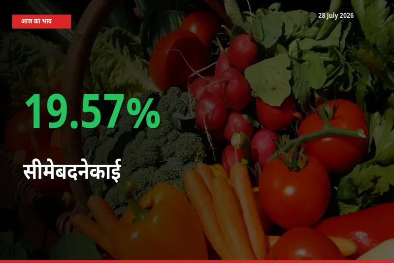 तेज़ तेजी! मंडी में सीमेबदनेकाई के दाम 19.57% चढ़े
