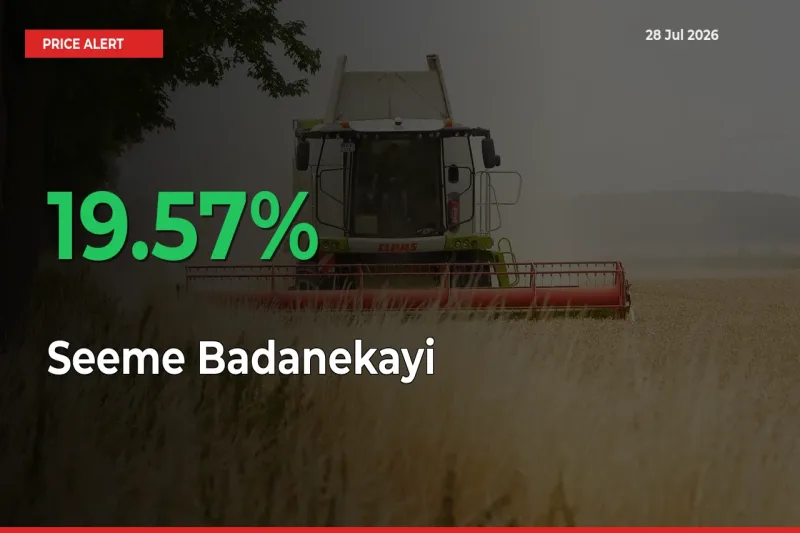 Sharp Jump! Seeme Badanekayi Prices Climb 19.57% in 24 Hours at Key Mandis