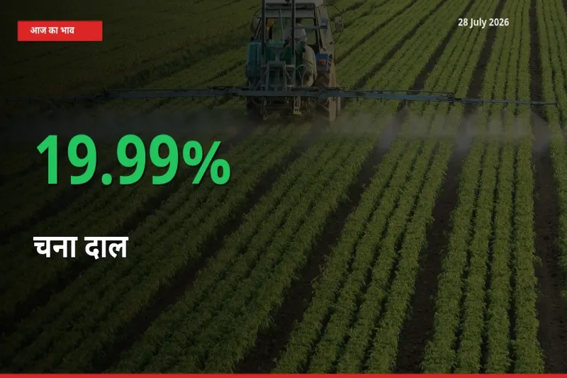 चना दाल के दाम प्रमुख मंडी में 19.99% बढ़े, 24 घंटे में बड़ा बदलाव