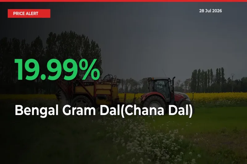 Sudden 19.99% Rally in Bengal Gram Dal(Chana Dal) Prices Across Mandis