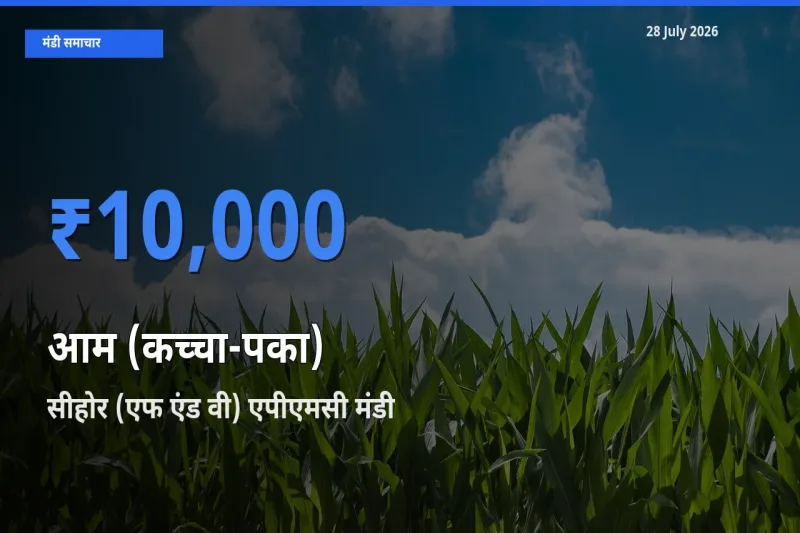 आज आम (कच्चा-पका) के सबसे ऊँचे दाम ₹10,000 सीहोर (एफ एंड वी) एपीएमसी, मध्य प्रदेश मंडी में